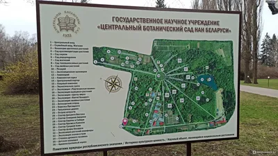 В Ростове стал платным вход в Ботанический сад 1 мая 2021 года - 1 мая 2021  - 161.ru