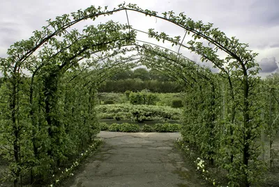 Ботанический сад Цицина, Москва — официальный сайт, цены 2024, японский сад,  оранжерея, как добраться