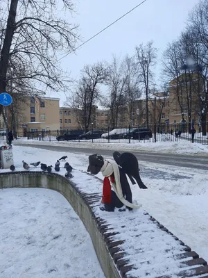 Цена за вход в Ботанический сад в Алматы снизилась - Качественный Казахстан