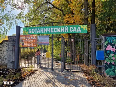 Вход в Ботанический сад Екатеринбурга будет платным » Вечерние ведомости
