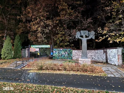 В Крыму для студентов 25 января вход в Никитский ботанический сад будет  бесплатный - газета «Кафа» новости Феодосии и Крыма