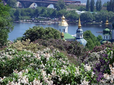 Вход в Ботанический сад и на Рождественскую ярмарку будет бесплатным до 18  декабря | Телеканал Санкт-Петербург