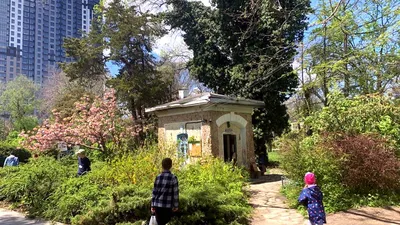 Вековой Ботанический сад в Ташкенте: природа, обрученная с наукой -  Ведомости Казахстана