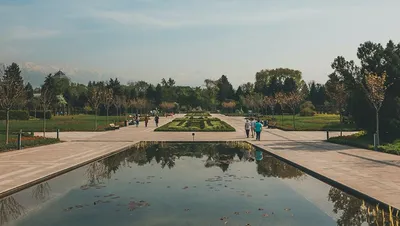Поездка в ботанический сад им. Н. В. Багрова в Симферополе. (часть 1) |  Живая история | Дзен