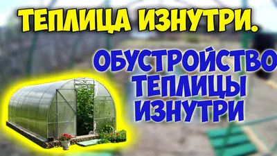 Зимняя теплица – морозы не преграда - Статья - Журнал - FORUMHOUSE