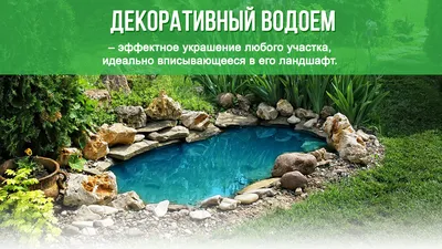 Водоемы в ландшафтном дизайне: 50 фото лучших идей для обустройства на  дачному участке