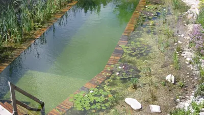 Водоемы
