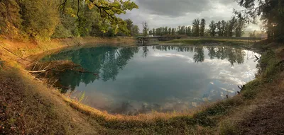 Выбор формы и место для водоёма | Royal Forest