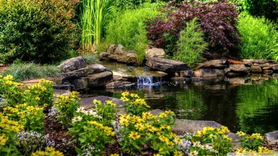 Водоем в саду — FloweryVale.ru