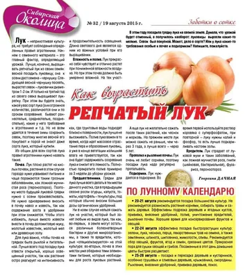 Лук репчатый