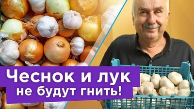 Свердловский Россельхознадзор нашел в луке из Чувашии хищных клещей