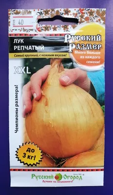 Лук Брунекс репчатый 200шт | Семена лука | Фиалка.net