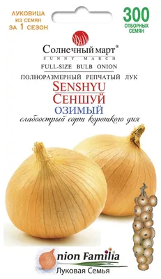 ПОСАДИЛИ ОДНУ ЛУКОВИЦУ, ВЫРОСЛО ДЕСЯТЬ! Эта и другие ХИТРОСТИ выращивания  лука - YouTube