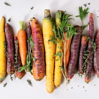 🐛🍠Как обработать морковь от вредителей? Болезни и вредители моркови на  грядке