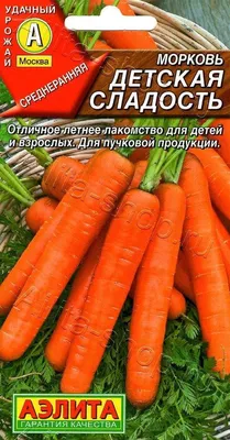 Блог :: Защита растений :: Вредители моркови и защита от них
