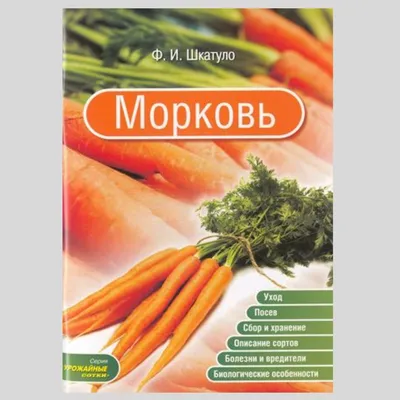 Безобразная органическая морковь съеденная вредителями избаловала  неправильно растет. Пространство для текста. Овощи концепции ест Стоковое  Фото - изображение насчитывающей морковь, способно: 170113072