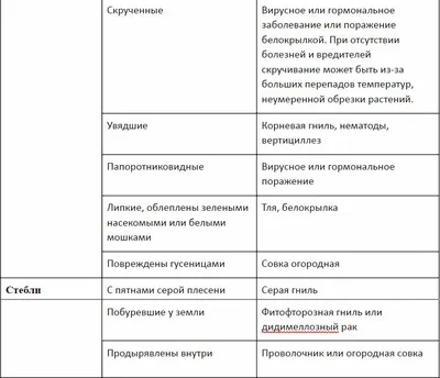 Вредители на рассаде – как распознать и бороться | На грядке (Огород.ru)
