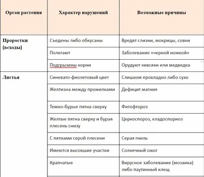 🐛🍅Помидоры в теплице: как бороться с фитофторой и другими болезнями  томатов. Фитофтора на помидорах в теплице и другие болезни томатов