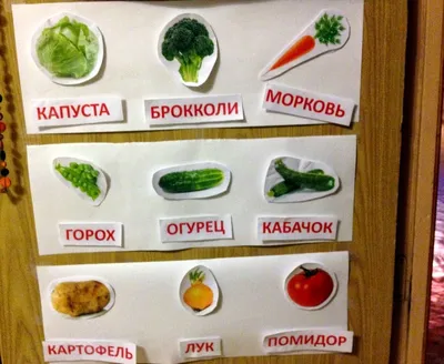 Рамка-вкладка «Овощи» 5056227 купить в «Есть всё»