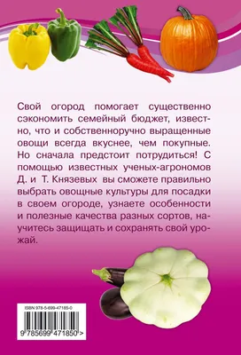 В августе подешевели почти все овощи
