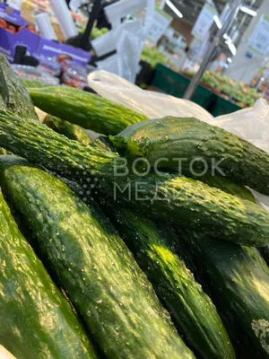 Развивающая доска \"Овощи\"