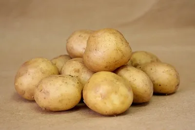 Лучшие сорта картофеля для пюре - Agro-Market