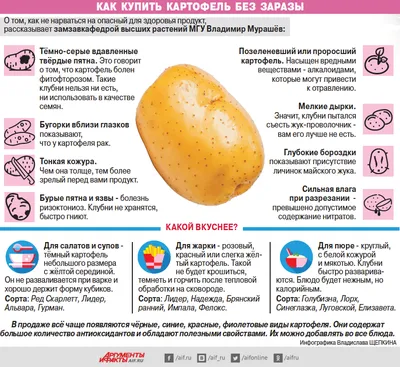 Картофель Ред Скарлет