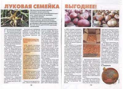 Хранение лука: срок, температура, условия, способы