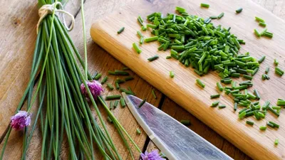 Правда ли, что ялтинский лук какой-то особенный? — читать на Gastronom.ru