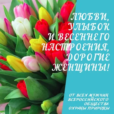 ВАПК - С 8 марта, наши красавицы