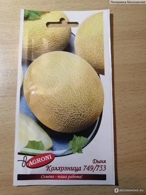 Вкусные дыни и арбузы своими руками: как вырастить бахчу в огороде - 16  июня 2022 - chita.ru