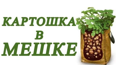 Мешки под картошку купить в Москве цены недорогие