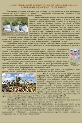 Выращивание картофеля из семян