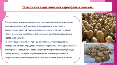 Купить Тканевые цветочные горшки для картофеля, мешки для выращивания  цветов, цветочный горшок, инструменты для выращивания фруктов, садовое  выращивание овощей, посадка | Joom