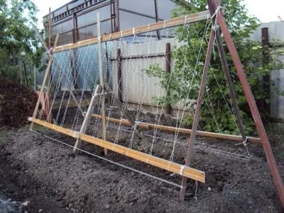 Вырастить огурцы на шпалере в открытом грунте | naidy-garden.ru