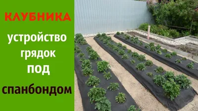 КЛУБНИКА УСТРОЙСТВО ВЫСОКИХ ГРЯДОК ПОД СПАНБОНДОМ - YouTube