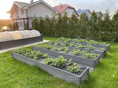 Как сделать грядки из досок своими руками