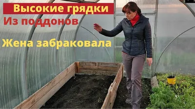 Оптимальные размеры грядок на огороде и в теплицах - какие грядки сделать |  Сибгрядки