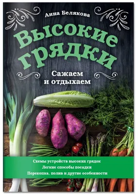 Высокие грядки с помощью шлакоблока, советы из интернета, которые не  доводят до добра | Загородные истории | Дзен