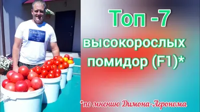 Помидоры Ananas Noire, Чёрный Ананас. | Дом Помидоров - Помидом