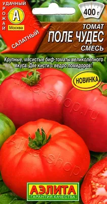 Статья от Dobrodar: Томаты - Какие бывают сорта и виды томатов, и как их  выращивать?