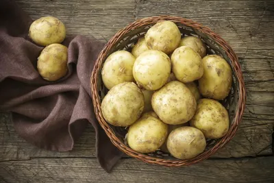 Болезни картофеля : Potatos инфицированных чипом Zebras. Стоковое  Изображение - изображение насчитывающей темно, медицинско: 208731157