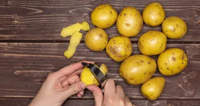 Методы контроля вирусных болезней картофеля — Журнал \"Картофельная Система\"