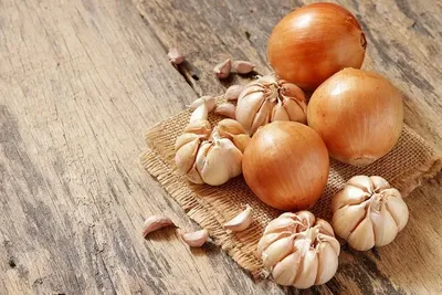 Ревус® от болезней лука – купить препарат Ревус® от болезней лука оптом по  цене производителя «АВГУСТ»