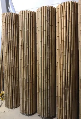 Забор Из Бамбука — стоковые фотографии и другие картинки Бамбук - Бамбук,  Бамбуковый лес, Бамбуковый материал - iStock
