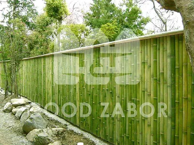 7dach - Забор из бамбука: несколько занятных идей | Facebook