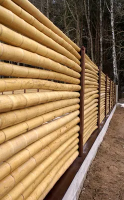 Бамбуковые стволы и половинки - Бамбуковый забор в качестве ширмы