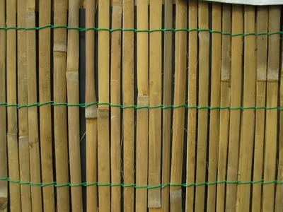 Забор из тростника 160 x 600 см. Тростниковые заборы.