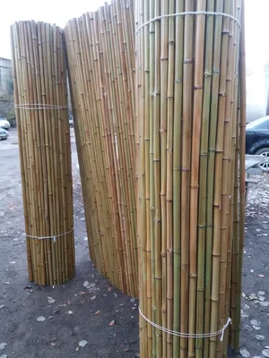 Бамбуковый забор нового формата