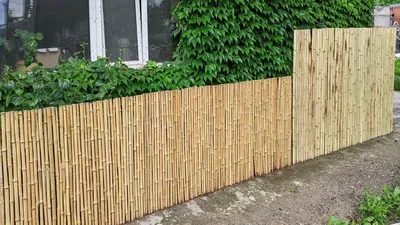 Забор из бамбука 200*200 см